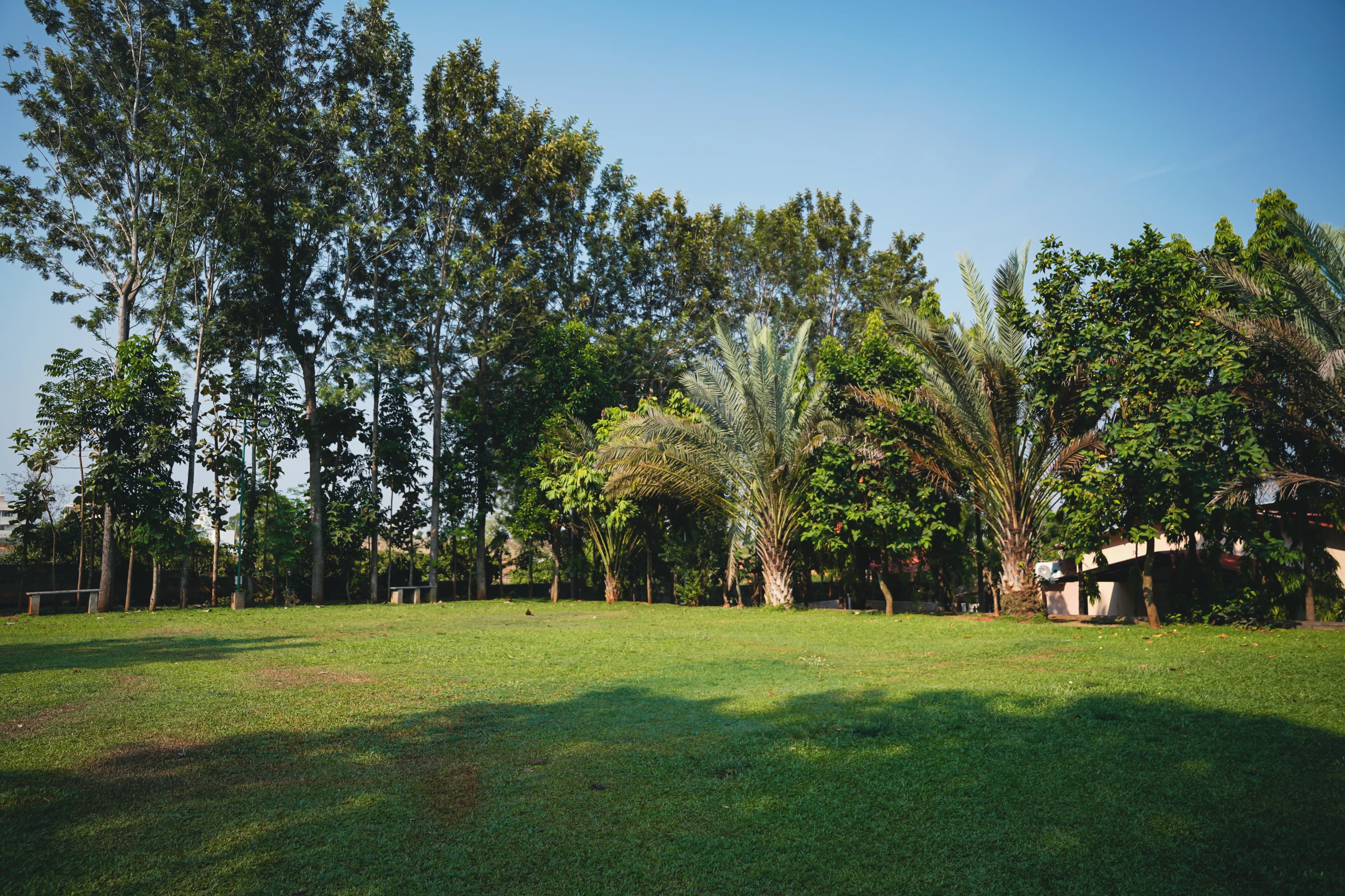 Scenic view at Sharmada Hidden Nest